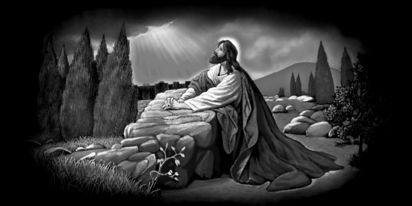 Jesus In Garden