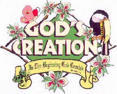 Vacation Bible School T-shirts